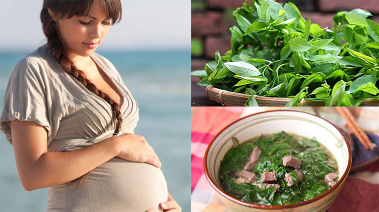 Có bầu có được ăn rau ngót không