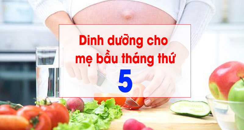 chế độ dinh dưỡng cho mẹ bầu tháng thứ 5