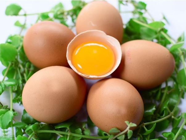 Trứng gà là thực phẩm rất giàu dinh dưỡng, giúp em bé thông minh hơn