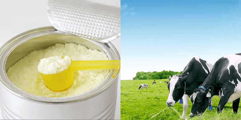 Top 5 sản phẩm sữa bột nguyên kem tốt nhất thị trường hiện nay