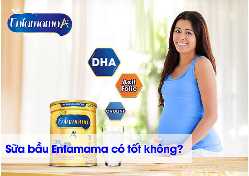 Sữa bầu enfamama có tốt không?