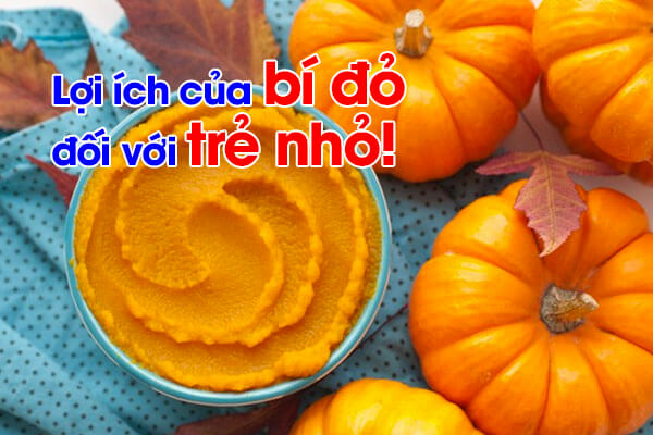 Trẻ nhỏ ăn bí đỏ có tốt không?