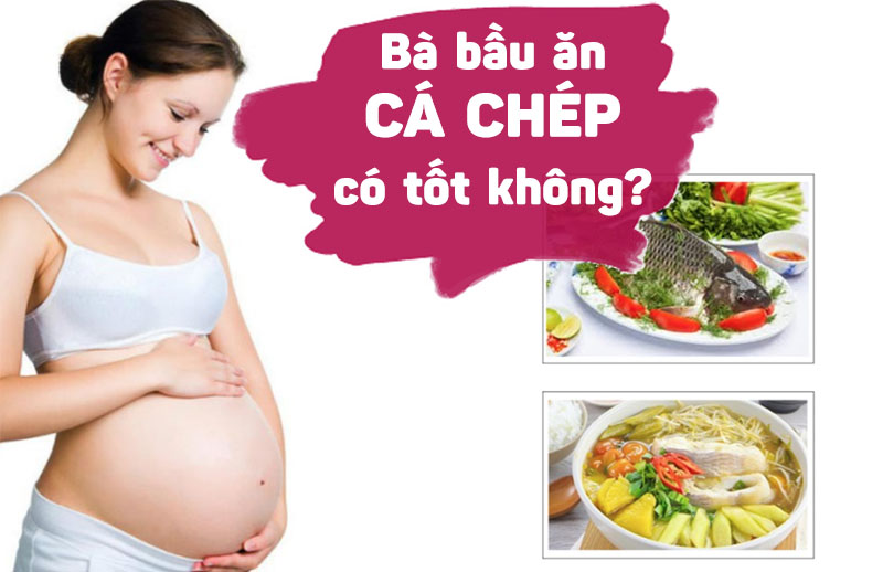Bà bầu ăn cá chép có tốt không? Gợi ý cách nấu cá chép tốt cho bà bầu