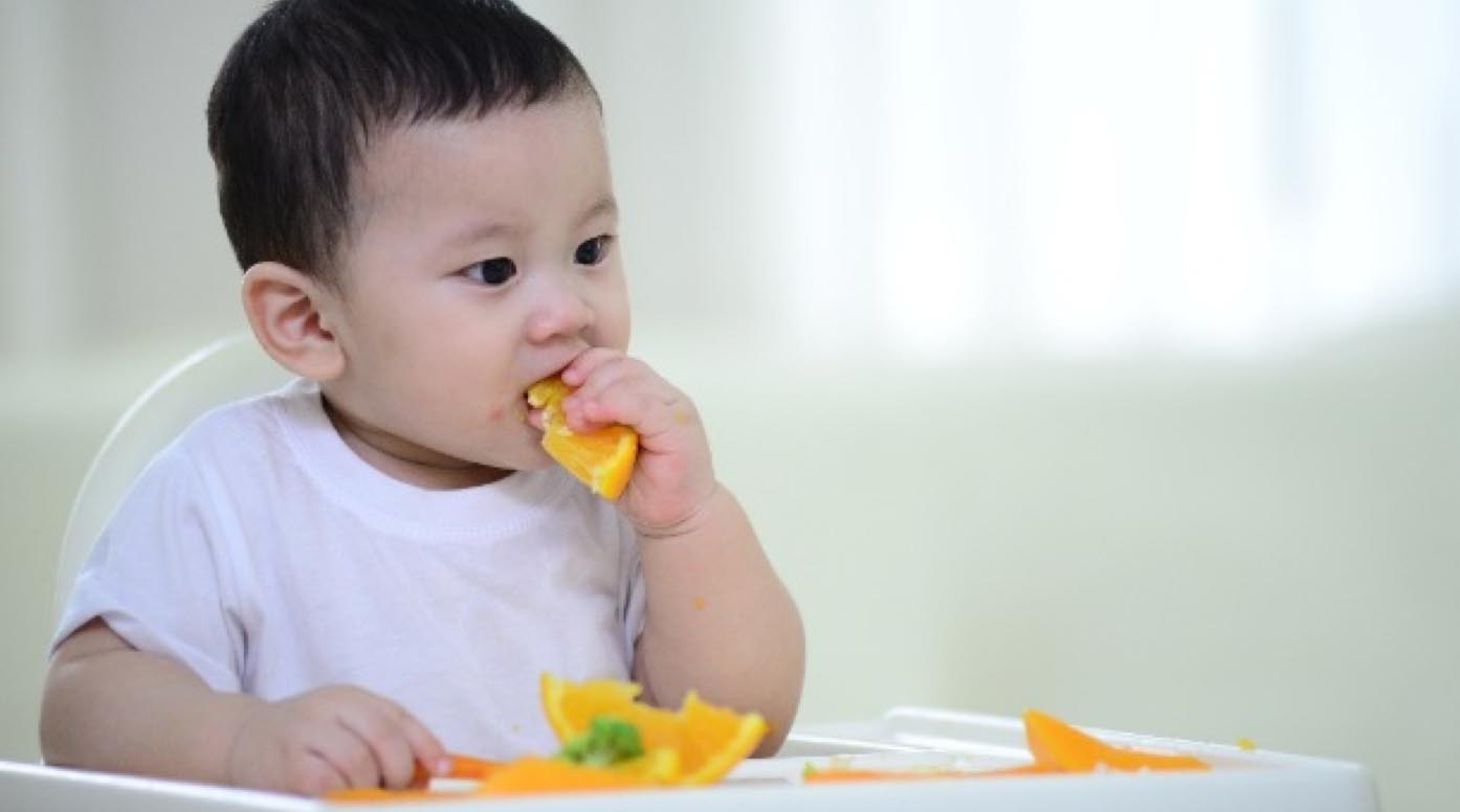 Gợi ý thực đơn ăn dặm BLW cho bé 9 tháng tuổi