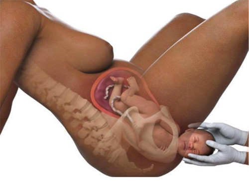 Thai nhi 41 tuần tuổi Thai nhi 41 tuần tuổi