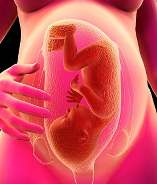 Nước ối có tác dụng gì? Nước ối có tác dụng gì?