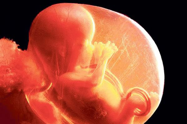 Chỉ số nước ối bao nhiêu là bình thường? Chỉ số nước ối bao nhiêu là bình thường?