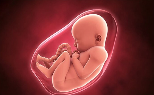 Nước ối đóng vai trò quan trọng trong việc nuôi dưỡng và bảo vệ thai nhi Nước ối đóng vai trò quan trọng trong việc nuôi dưỡng và bảo vệ thai nhi