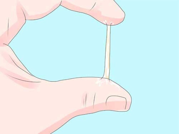 Khí hư (huyết trắng) là dịch nhầy được tiết ra từ âm đạo Khí hư (huyết trắng) là dịch nhầy được tiết ra từ âm đạo
