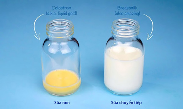Sữa non là nguồn sữa đặc biệt tốt cho trẻ sơ sinh