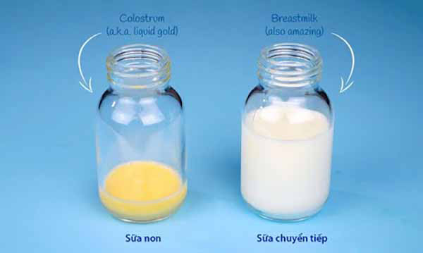 Sữa non thường có màu vàng ngô hoặc vàng nhạt