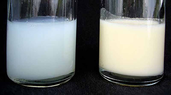 Sữa mẹ có màu gì tốt nhất cho bé