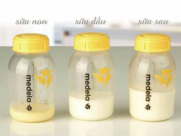 Sữa đầu và sữa cuối chứa hàm lượng dinh dưỡng khác nhau