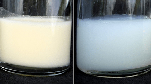 Sữa mẹ như thế nào là đặc