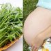 Bà bầu ăn rau muống được không?